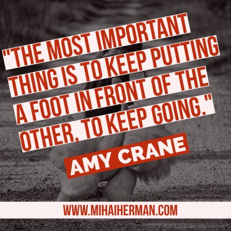 Quote by Amy Crane via @MihaiHerman